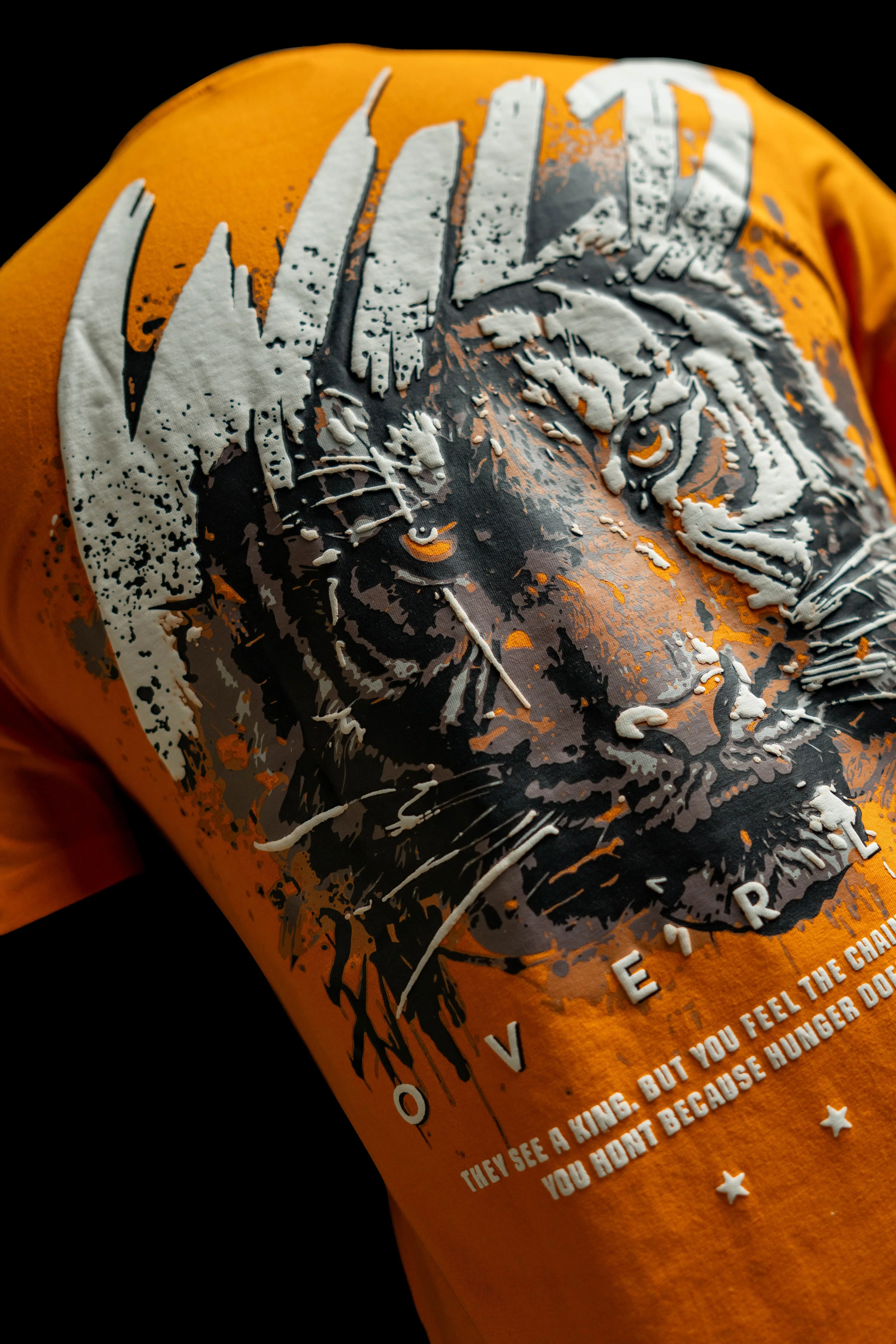 Blazing Wild Relaxed Fit T-Shirt - Image 3