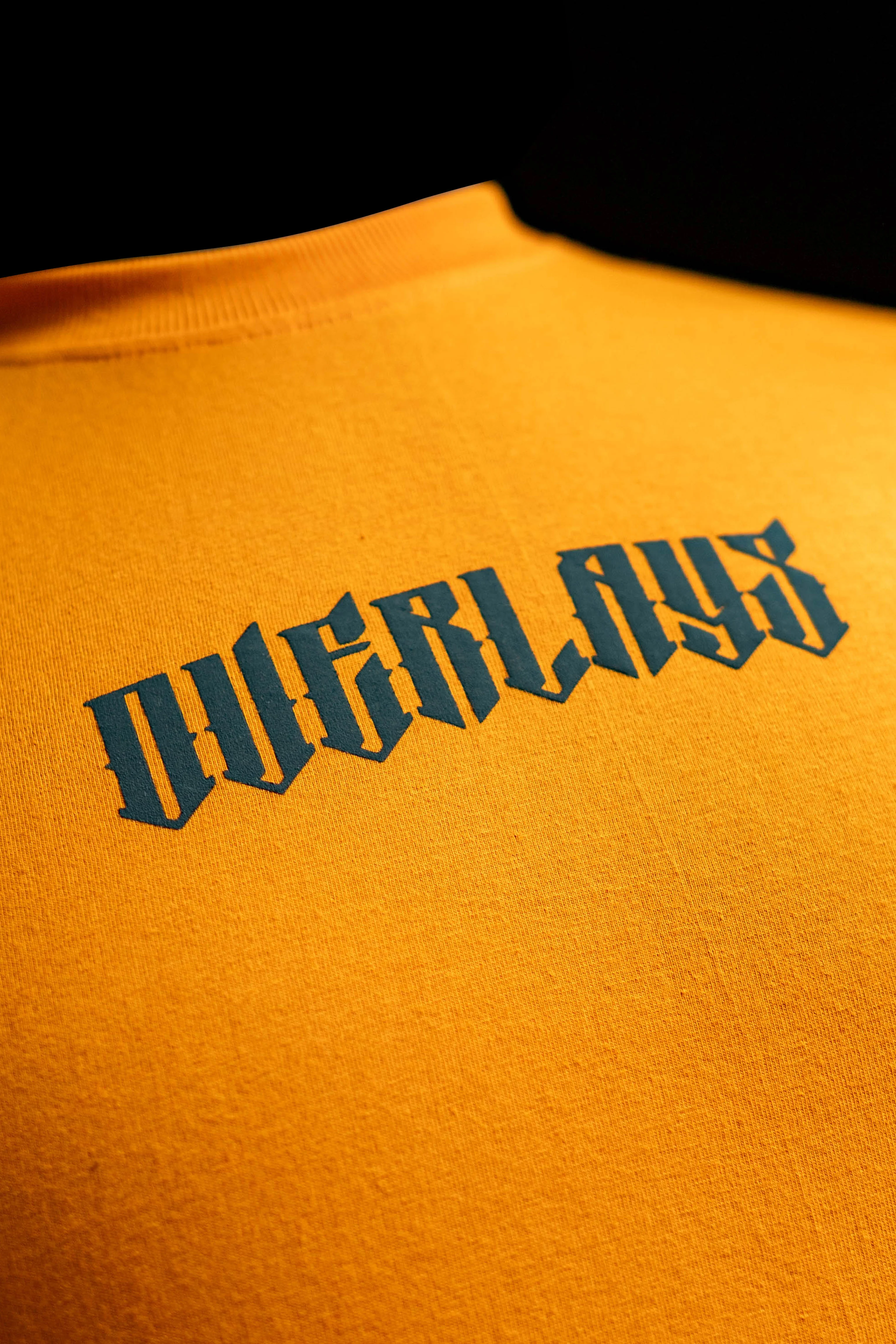 Blazing Wild Relaxed Fit T-Shirt - Image 7